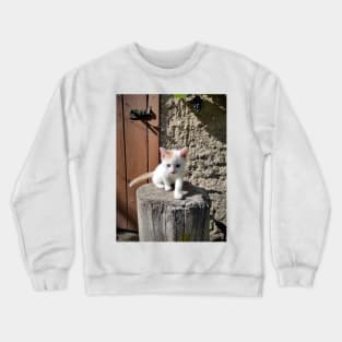 Little cat Jonny Crewneck Sweatshirt